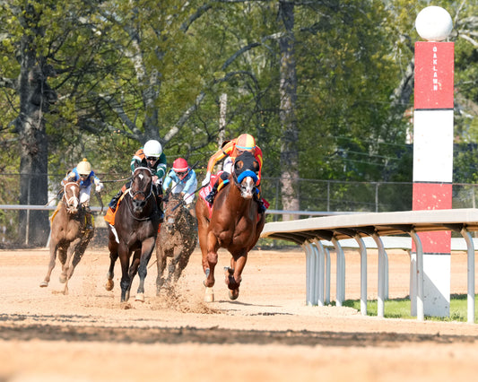 DESERT GATE - The Hot Springs Stakes - 03-26-26 - R08 - OP - Turn 01 - Coady Media - Kurtis Coady Photography