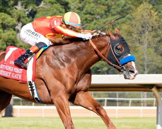 DESERT GATE - The Hot Springs Stakes - 03-26-26 - R08 - OP - Turn 02 - Coady Media - Kurtis Coady Photography