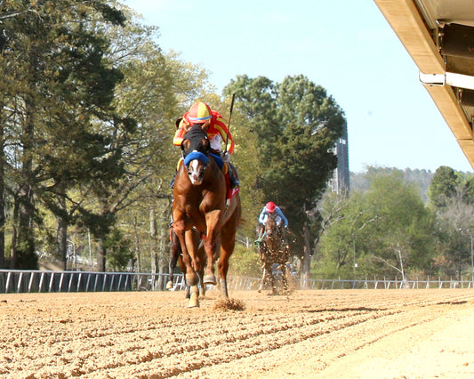 DESERT GATE - The Hot Springs Stakes - 03-26-26 - R08 - OP - Under Rail 01 - Coady Media - Kurtis Coady Photography