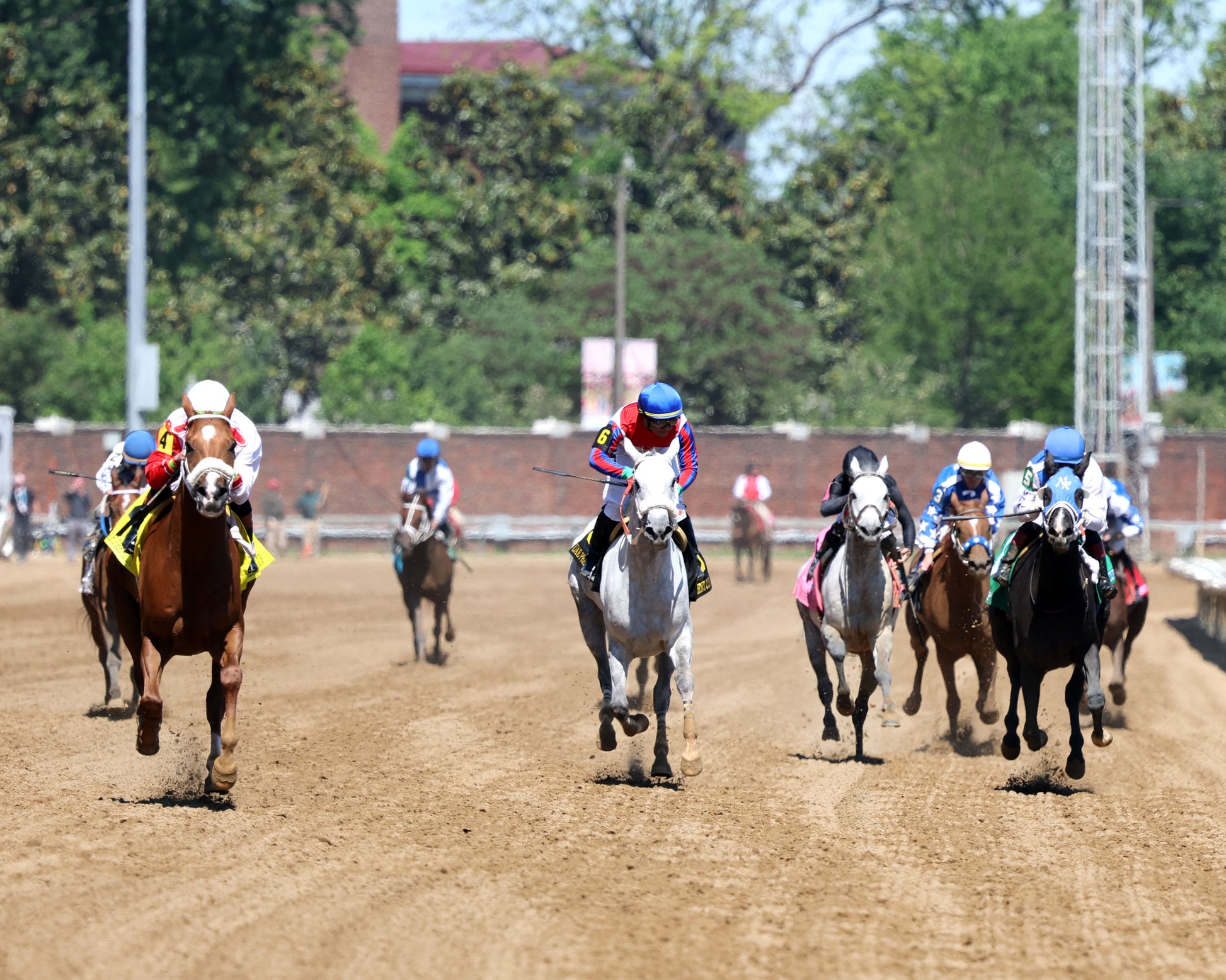 DIAMOND GEM AA - 043026 - Race 06 - CD - Head On 01 - Coady Media - Kurtis Coady Photography