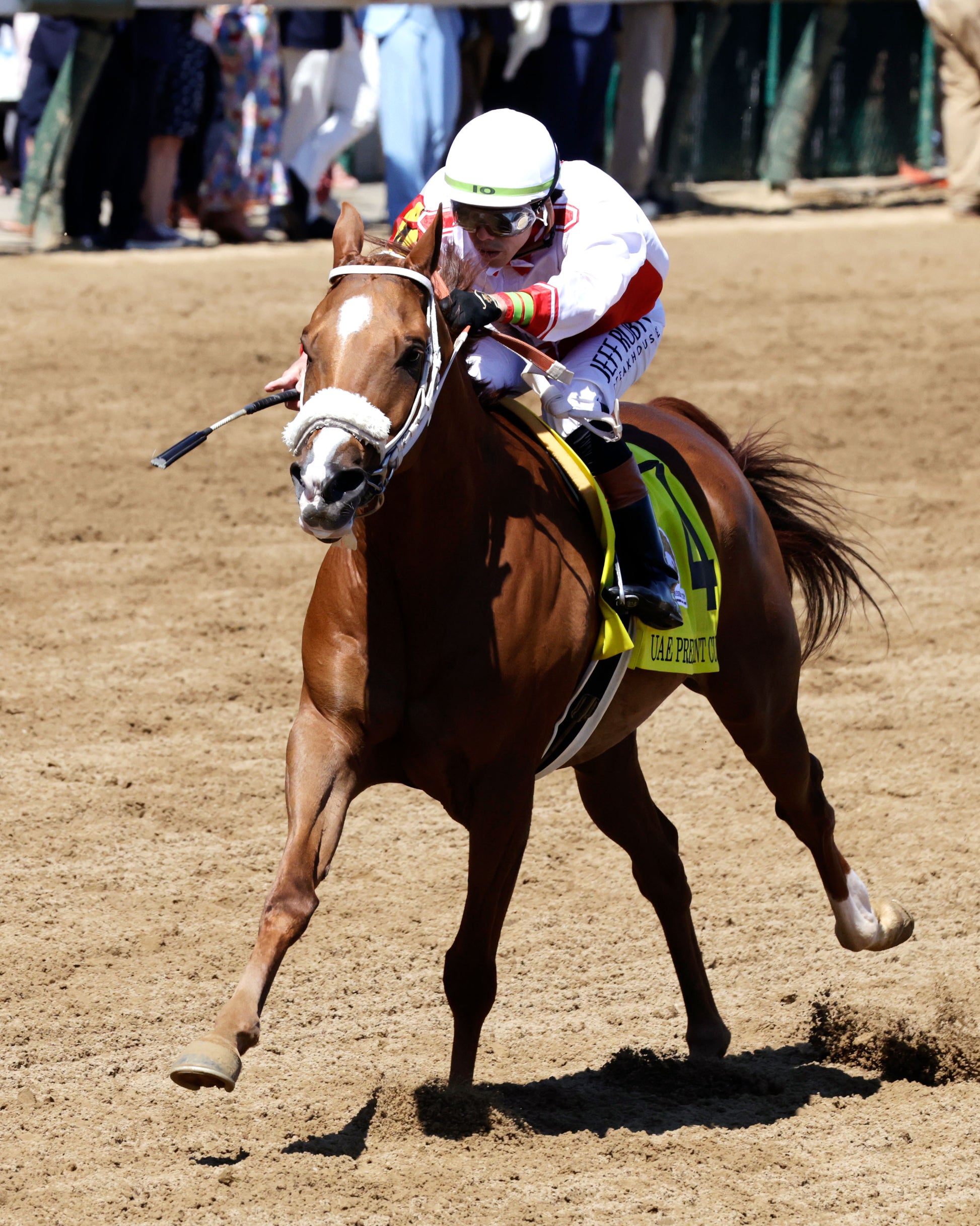 DIAMOND GEM AA - 043026 - Race 06 - CD - Inside Finish 02 - Coady Media - Kurtis Coady Photography