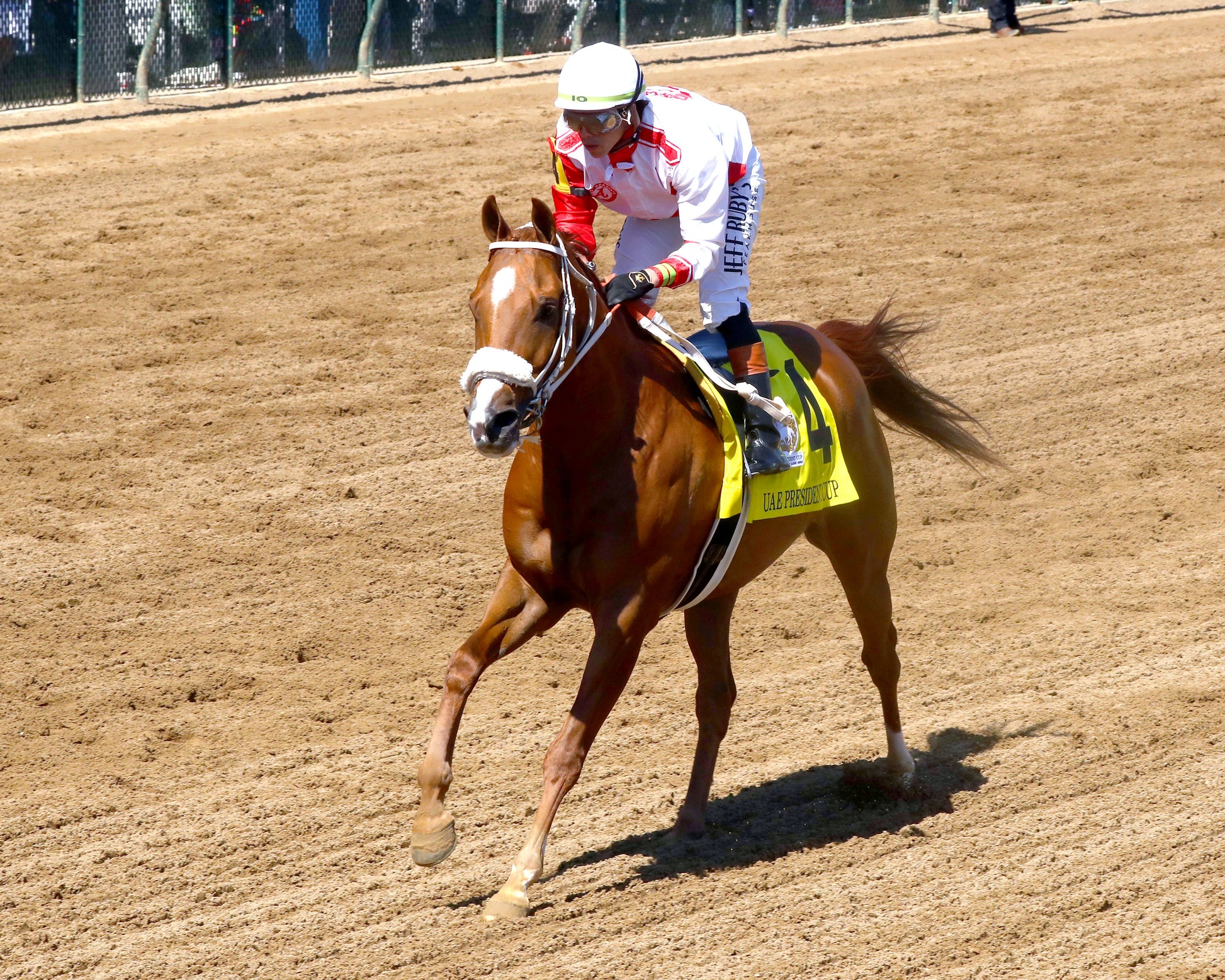DIAMOND GEM AA - 043026 - Race 06 - CD - Inside Finish 03 - Coady Media - Kurtis Coady Photography