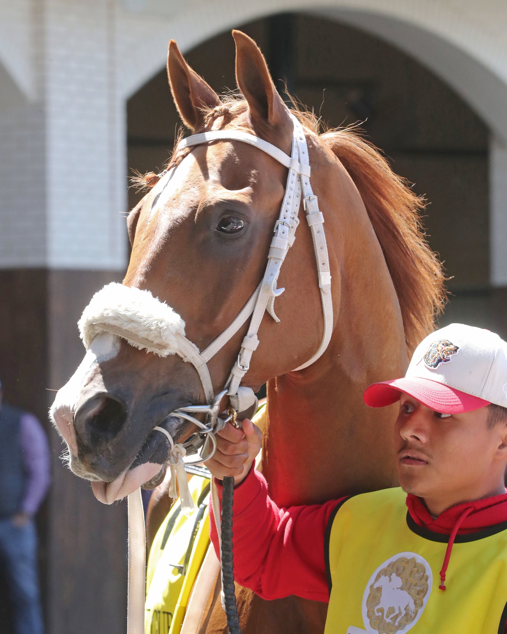 DIAMOND GEM AA - 043026 - Race 06 - CD - Paddock 01 - Coady Media - Kurtis Coady Photography