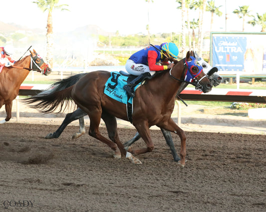 DISTANT FLEET - Phoenix Gold Cup - 03-21-26 - R08 - Turf Paradise - Finish - Coady Media - Kurtis Coady Photography