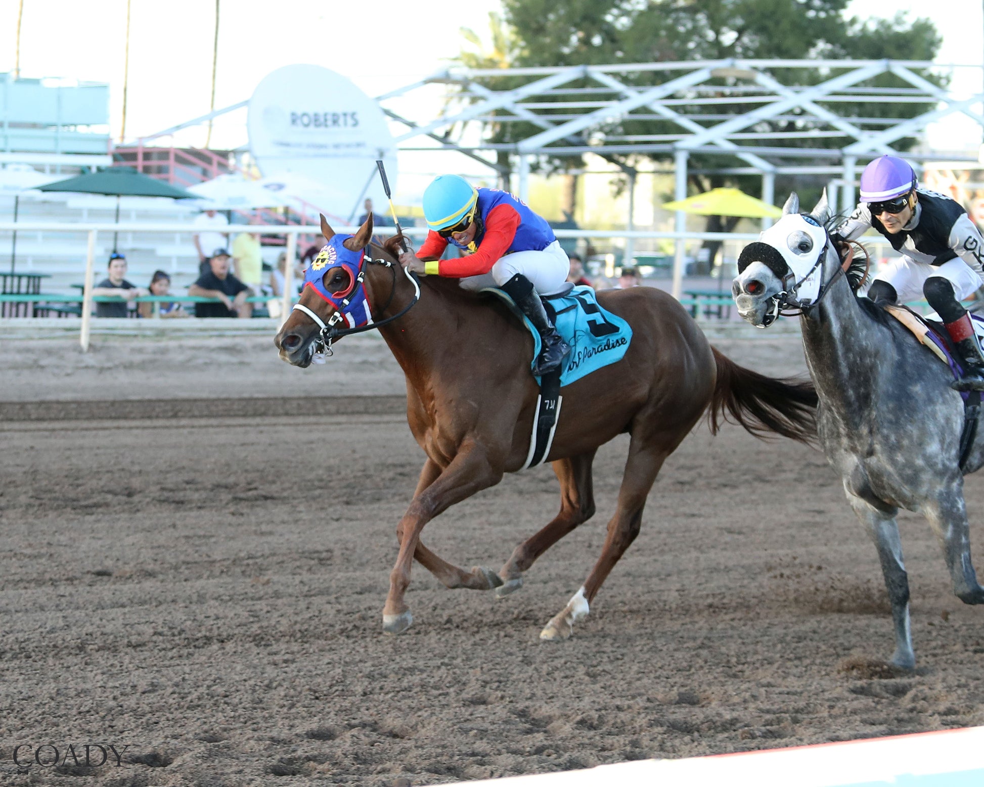 DISTANT FLEET - Phoenix Gold Cup - 03-21-26 - R08 - Turf Paradise - Inside Finish - Coady Media - Kurtis Coady Photography