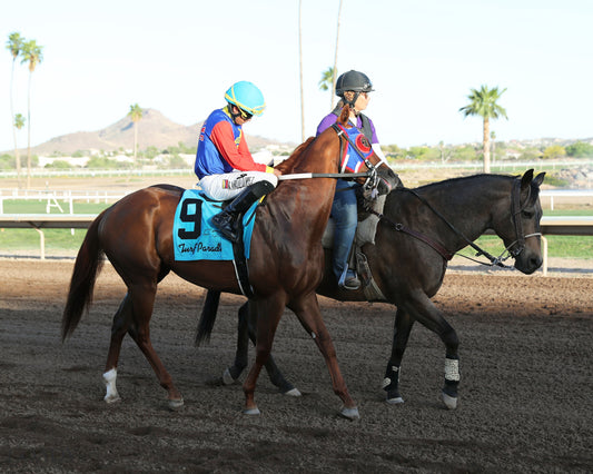DISTANT FLEET - Phoenix Gold Cup - 03-21-26 - R08 - Turf Paradise - Post Parade - Coady Media - Kurtis Coady Photography