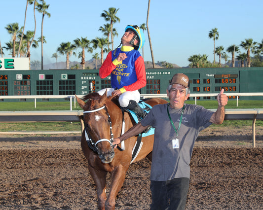 DISTANT FLEET - Phoenix Gold Cup - 03-21-26 - R08 - Turf Paradise - Return Shot - Coady Media - Kurtis Coady Photography