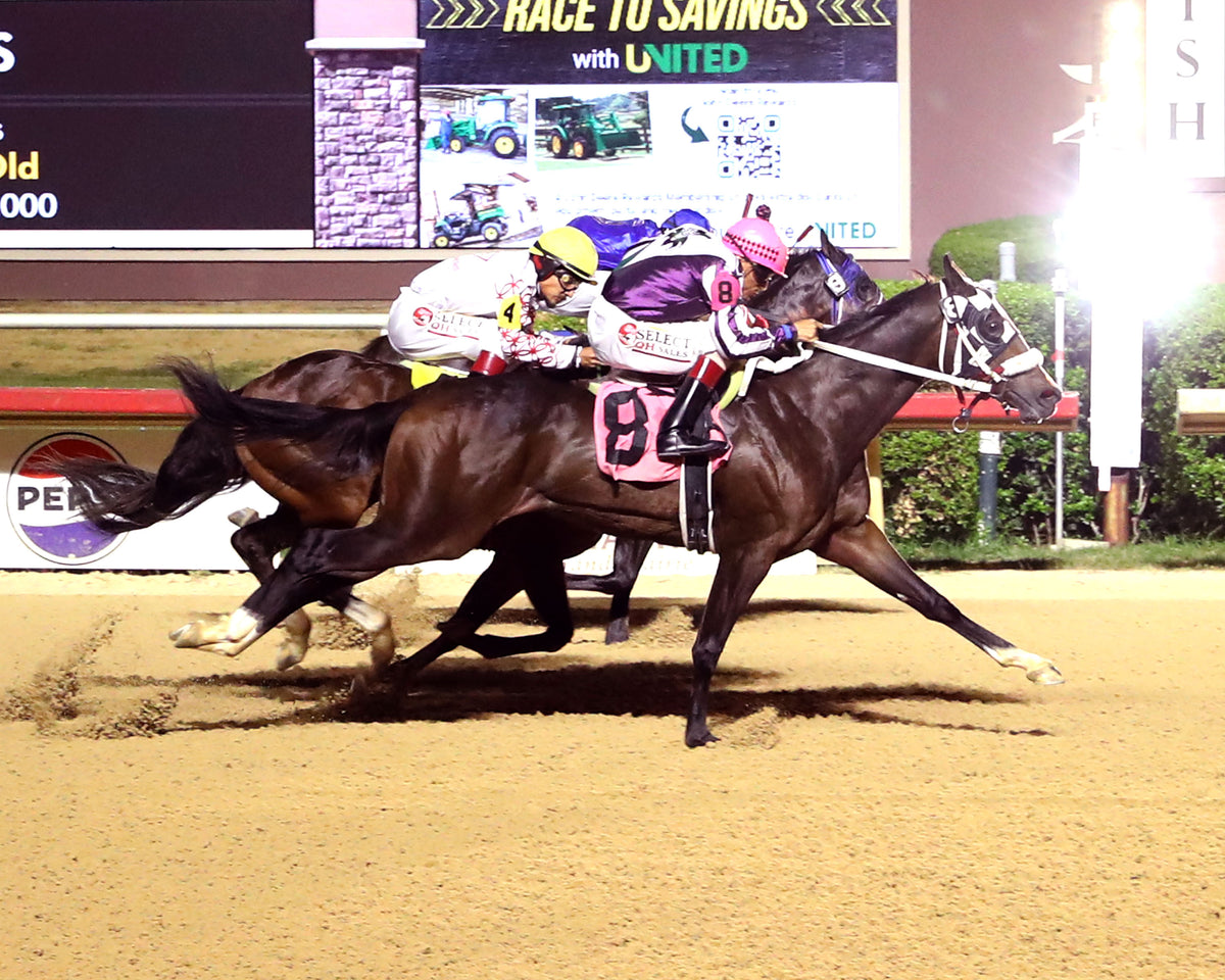 DK MARNEY 123 - Dash for Cash Furturity Trials - 09-19-26 - R12 - LSP