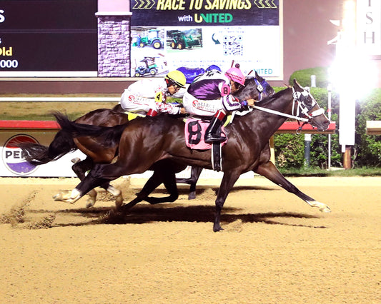 DK MARNEY 123 - Dash for Cash Furturity Trials - 09-19-26 - R12 - LSP - Coady Media - Kurtis Coady Photography