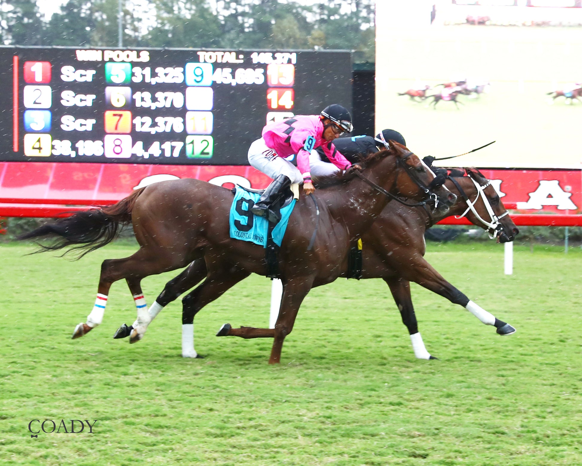 DONCHO - Da Hoss Stakes - 09-06-25 - R08 - CNL - Finish 01 - Coady Media - Kurtis Coady Photography
