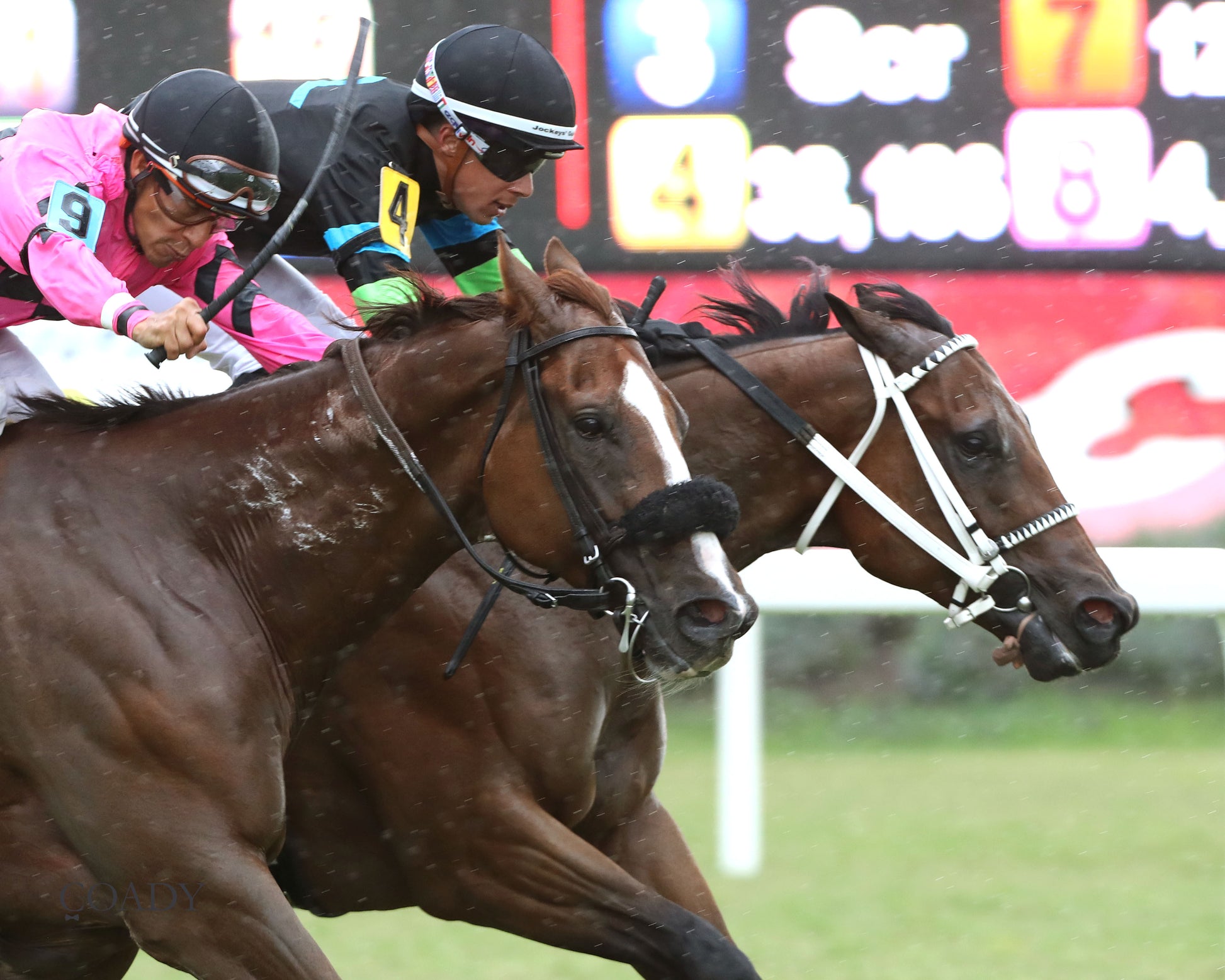 DONCHO - Da Hoss Stakes - 09-06-25 - R08 - CNL - Finish 02 - Coady Media - Kurtis Coady Photography