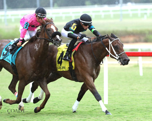 DONCHO - Da Hoss Stakes - 09-06-25 - R08 - CNL - Finish 03 - Coady Media - Kurtis Coady Photography