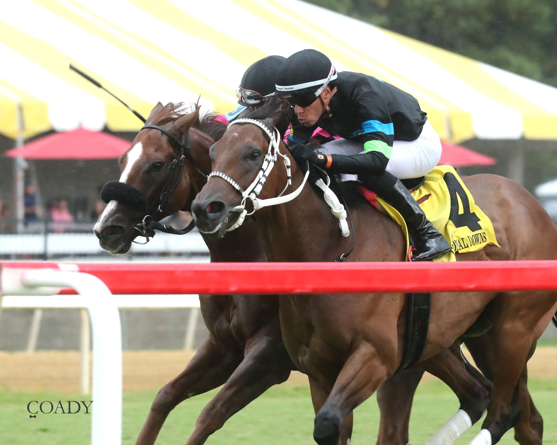 DONCHO - Da Hoss Stakes - 09-06-25 - R08 - CNL - Inside Finish 01 - Coady Media - Kurtis Coady Photography