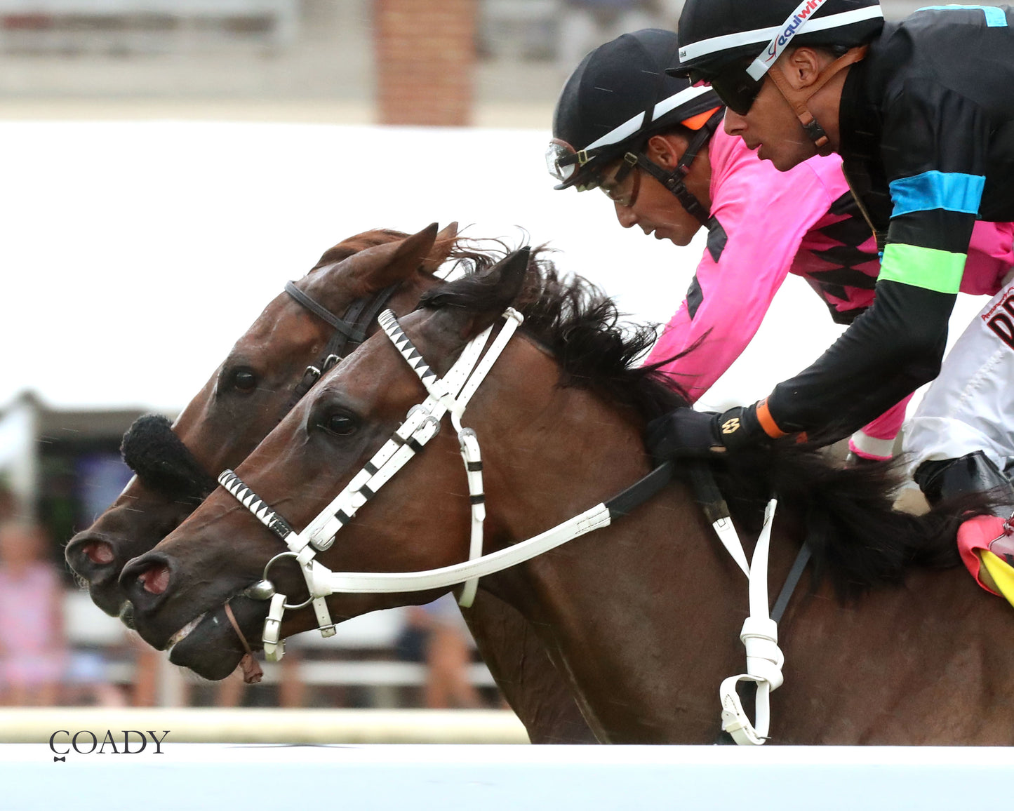 DONCHO - Da Hoss Stakes - 09-06-25 - R08 - CNL - Inside Finish 02 - Coady Media - Kurtis Coady Photography