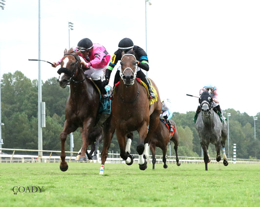 DONCHO - Da Hoss Stakes - 09-06-25 - R08 - CNL - Under Rail 01 - Coady Media - Kurtis Coady Photography