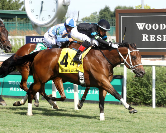 DONCHO - The Mighty Beau - 06-06-26 - R10 - CD - Finish 03