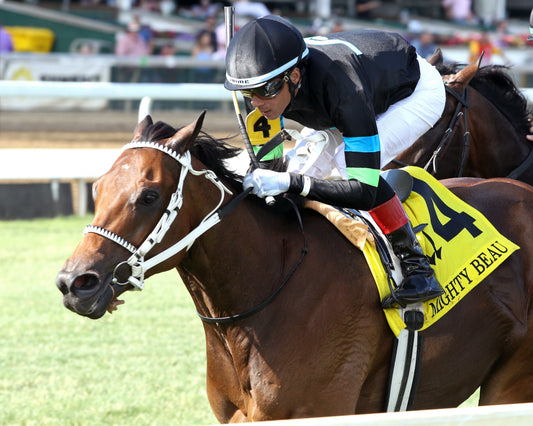 DONCHO - The Mighty Beau - 06-06-26 - R10 - CD - Inside Finish 01