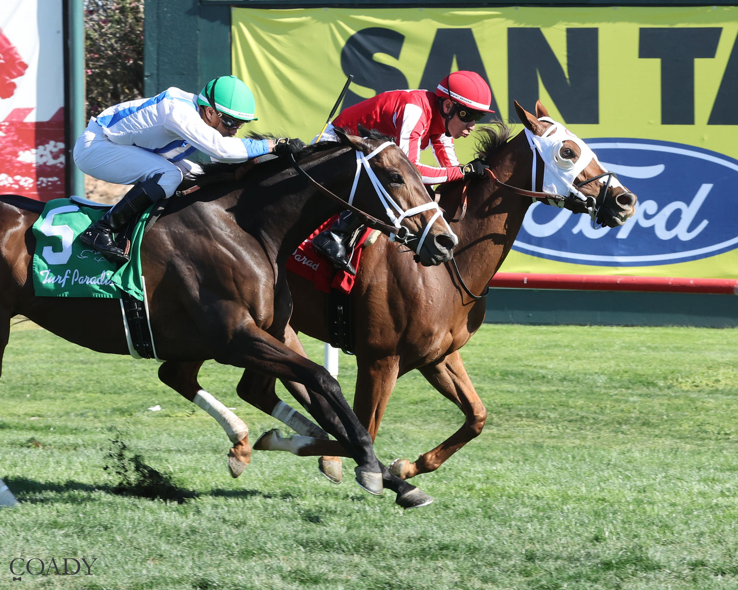 DONTGIVEUPTHEFIGHT - Queen Of The Green Handicap - 03-21-26 - R04 - Turf Paradise - Finish - Coady Media - Kurtis Coady Photography