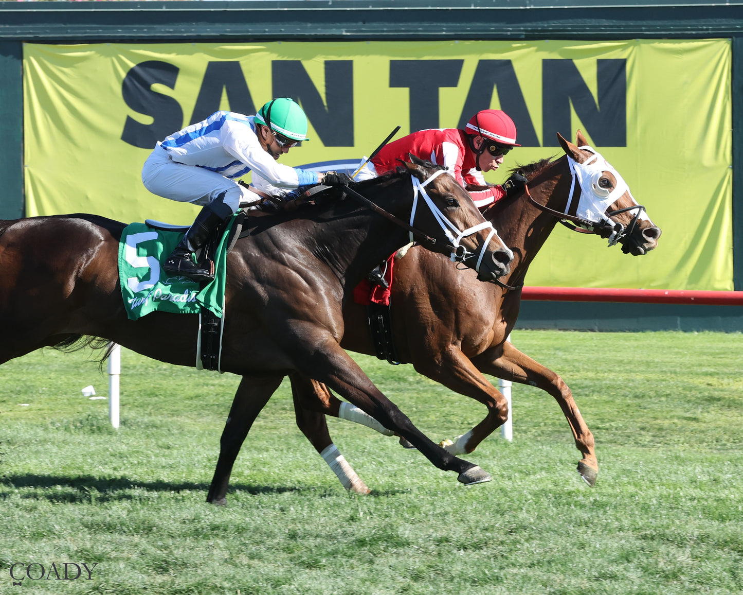 DONTGIVEUPTHEFIGHT - Queen Of The Green Handicap - 03-21-26 - R04 - Turf Paradise - Finish 2 - Coady Media - Kurtis Coady Photography