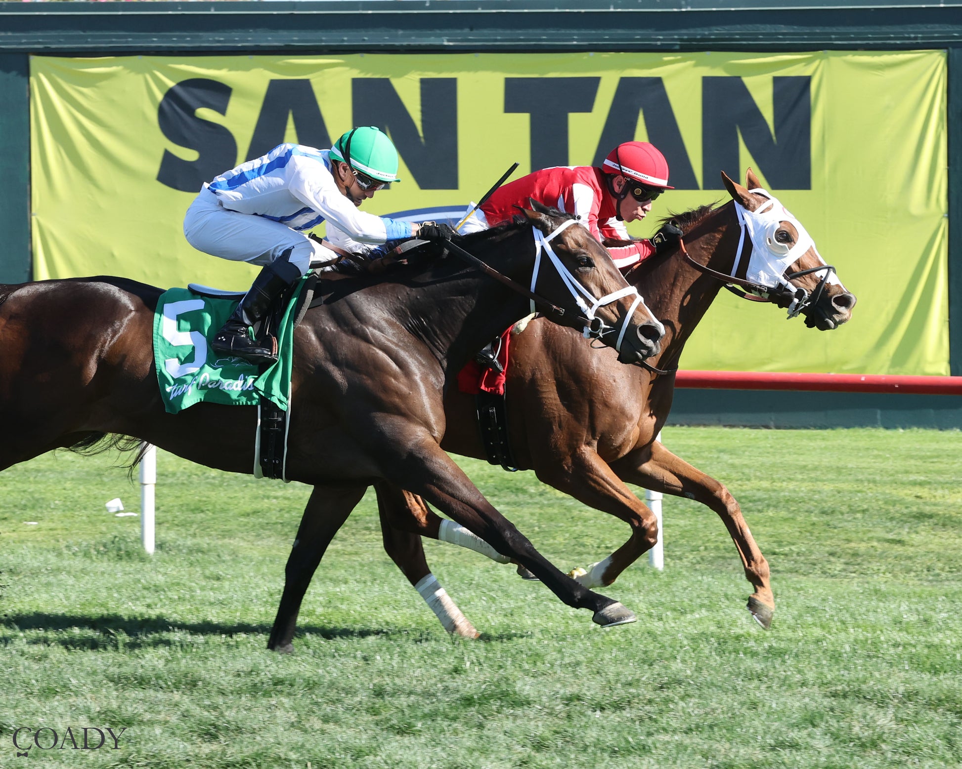 DONTGIVEUPTHEFIGHT - Queen Of The Green Handicap - 03-21-26 - R04 - Turf Paradise - Finish 2 - Coady Media - Kurtis Coady Photography