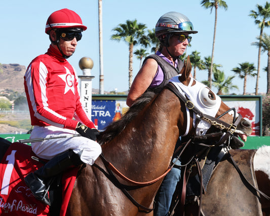 DONTGIVEUPTHEFIGHT - Queen Of The Green Handicap - 03-21-26 - R04 - Turf Paradise - Post Parade - Coady Media - Kurtis Coady Photography