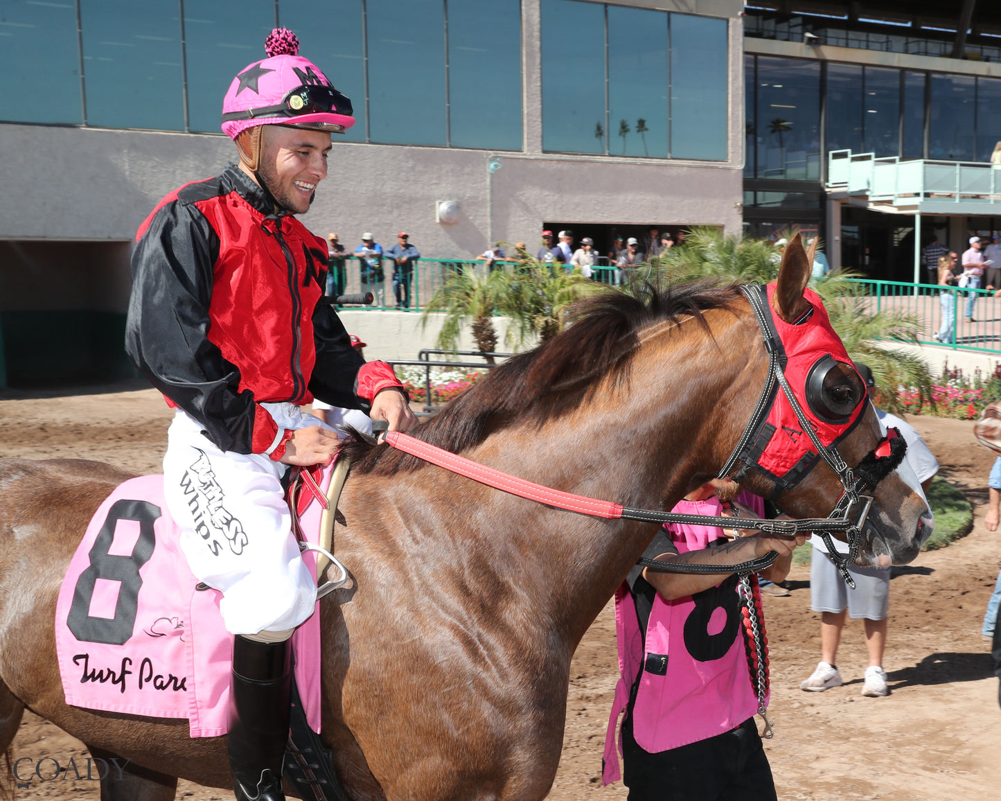 DOS SPECIAL EYE - The Spring Fling - 03-21-26 - R02 - Turf Paradise - Post Parade2 - Coady Media - Kurtis Coady Photography