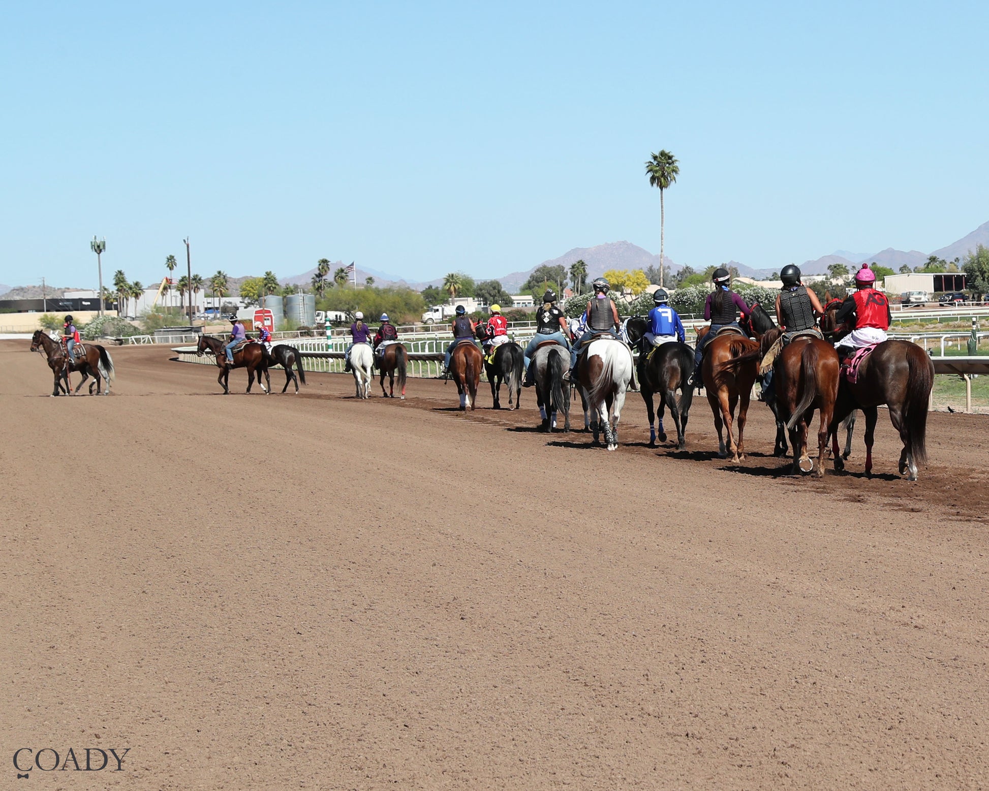 DOS SPECIAL EYE - The Spring Fling - 03-21-26 - R02 - Turf Paradise - Post Parade - Coady Media - Kurtis Coady Photography