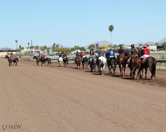 DOS SPECIAL EYE - The Spring Fling - 03-21-26 - R02 - Turf Paradise - Post Parade - Coady Media - Kurtis Coady Photography