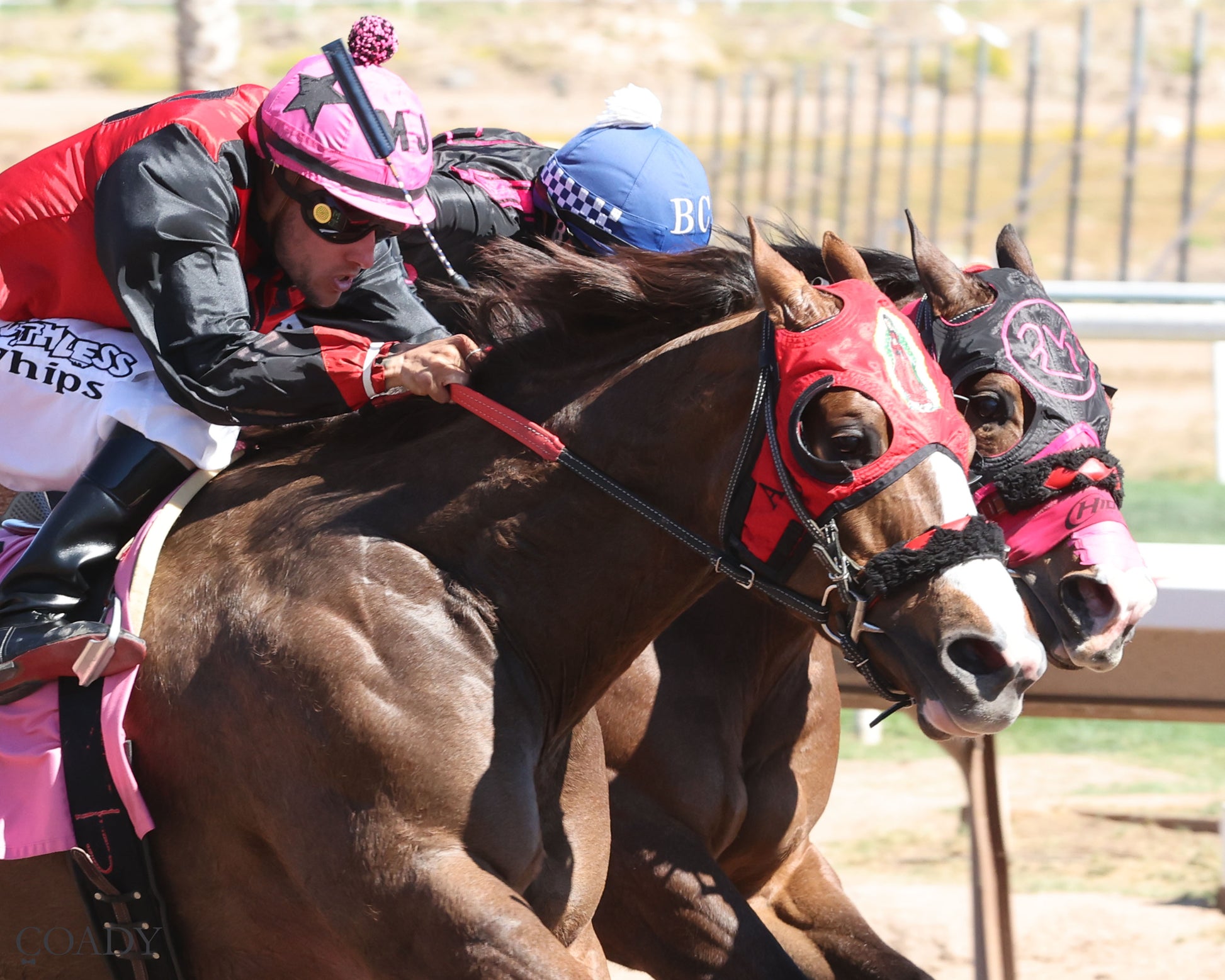 DOS SPECIAL EYE - The Spring Fling - 03-21-26 - R02 - Turf Paradise - Tight Finish - Coady Media - Kurtis Coady Photography