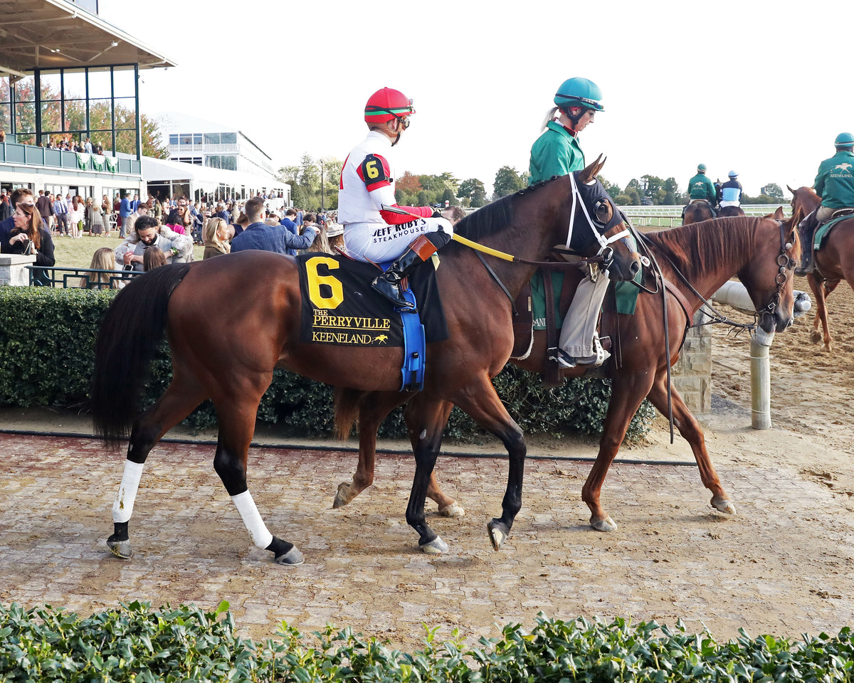 DR. KAPUR - The Perryville G3 - 10-17-26 - R07 - KEE - Post Parade 02