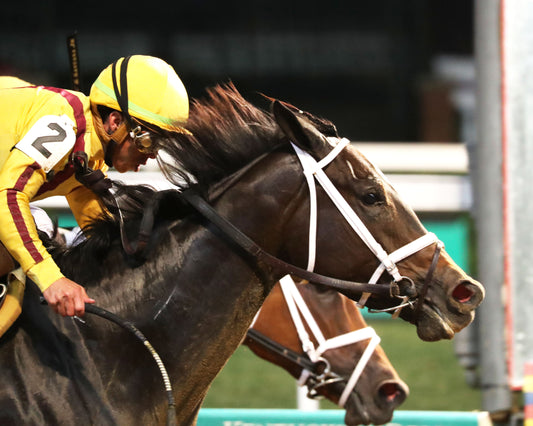 ECLATANT - The Chicago G2 - 06-20-26 - R09 - CD - Tight Finish 01