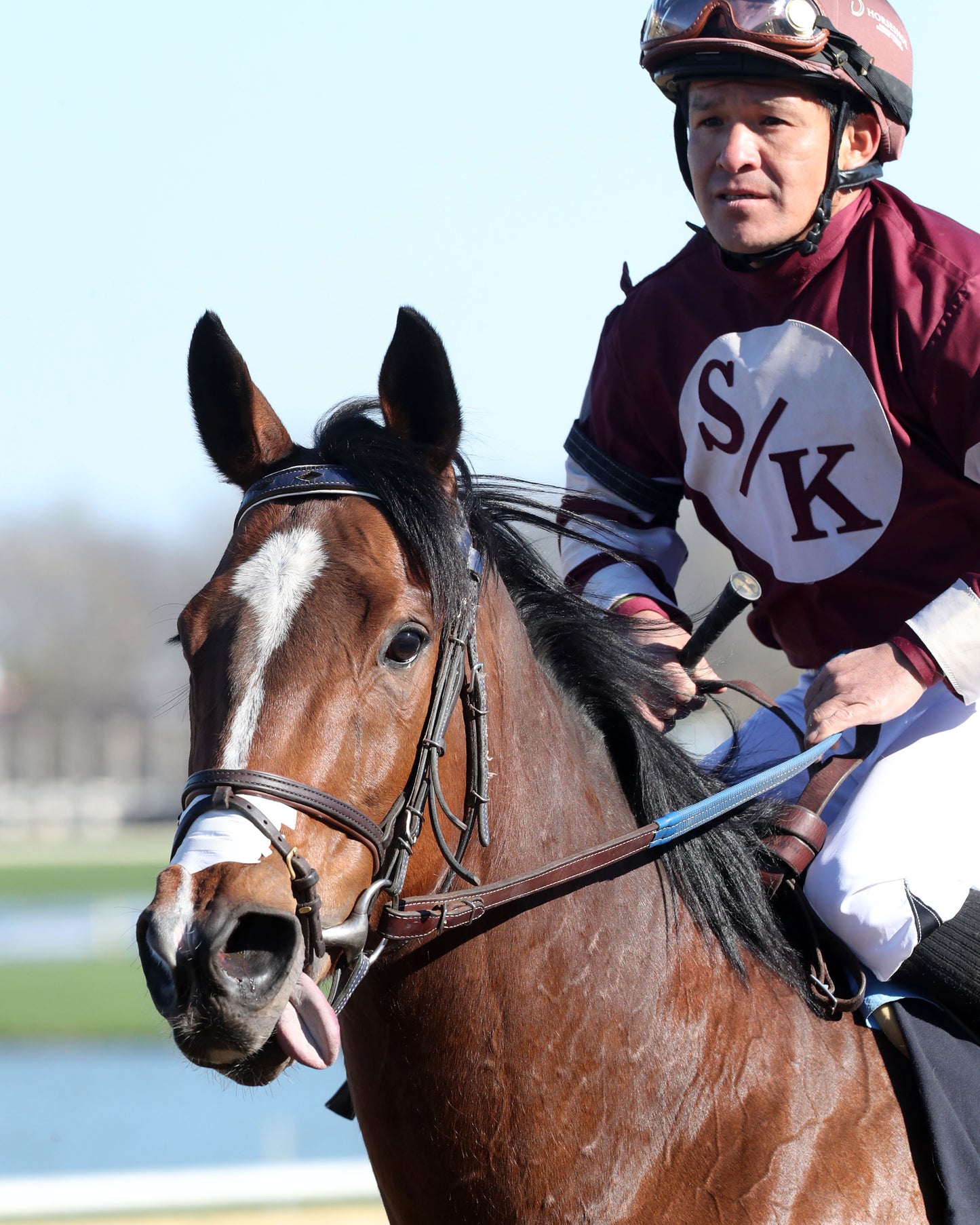 EKATI FLATTER - The Merrill C Roberts Overnight Handicap - 04-07-26 - R07 - Horseshoe Indiana - Come Back 01 - Renee Torbit - Coady Media - Kurtis Coady Photography