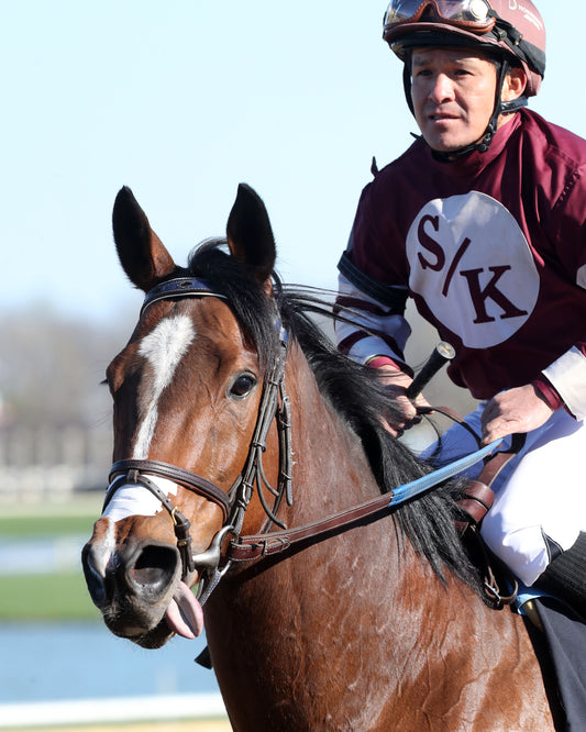 EKATI FLATTER - The Merrill C Roberts Overnight Handicap - 04-07-26 - R07 - Horseshoe Indiana - Come Back 01 - Renee Torbit - Coady Media - Kurtis Coady Photography