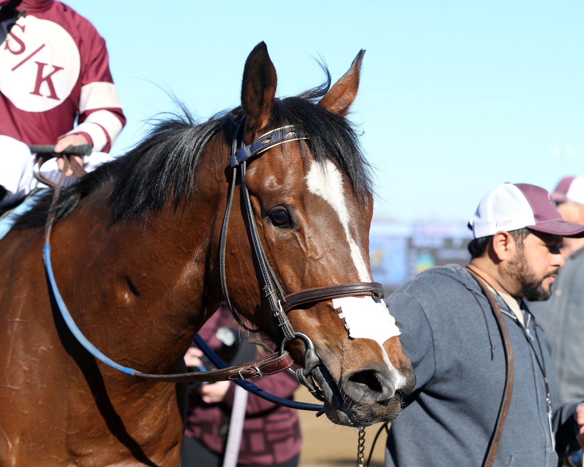 EKATI FLATTER - The Merrill C Roberts Overnight Handicap - 04-07-26 - R07 - Horseshoe Indiana - Come Back 03 - Casey Cable - Coady Media - Kurtis Coady Photography