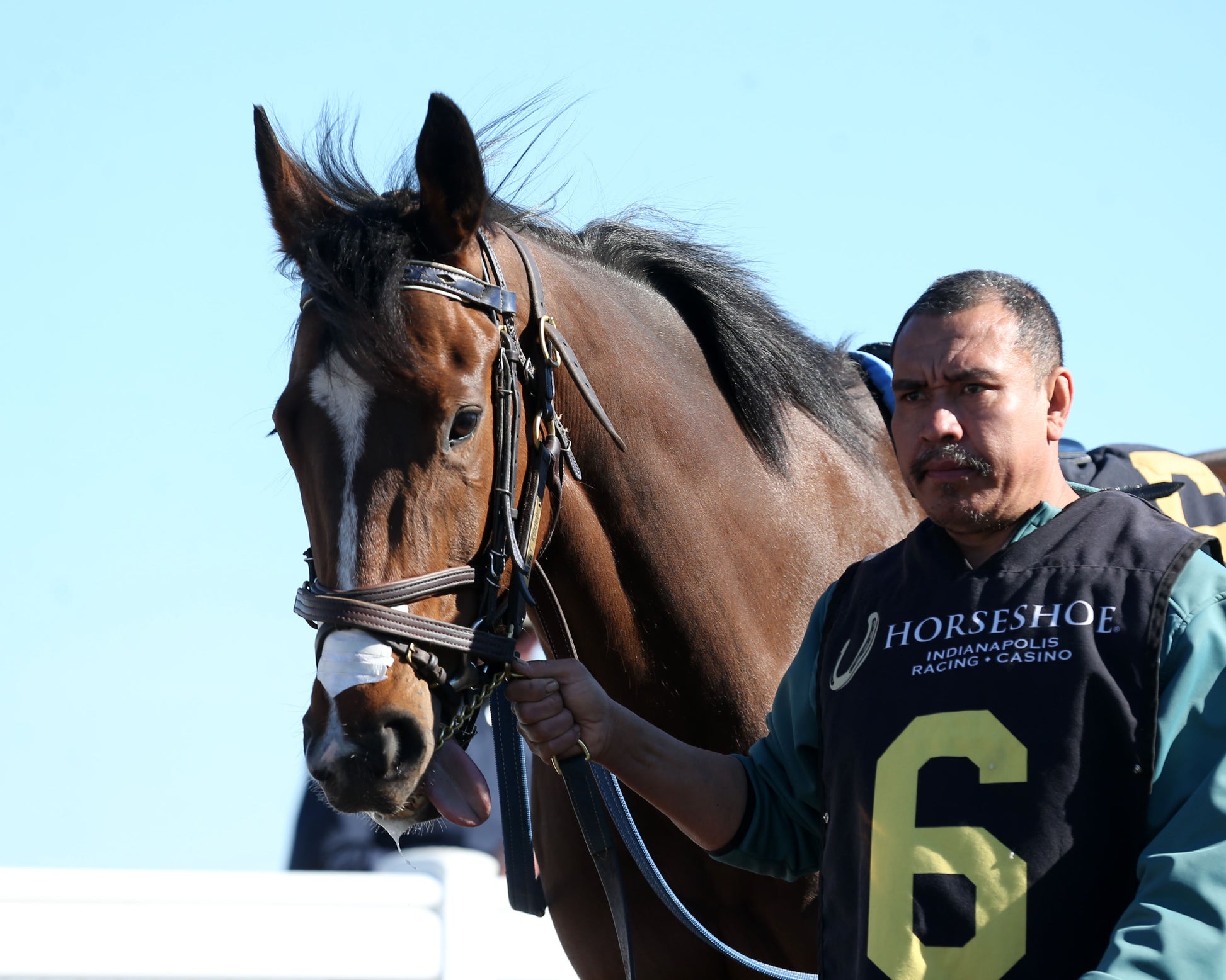 EKATI FLATTER - The Merrill C Roberts Overnight Handicap - 04-07-26 - R07 - Horseshoe Indiana - Paddock 02 - Casey Cable - Coady Media - Kurtis Coady Photography