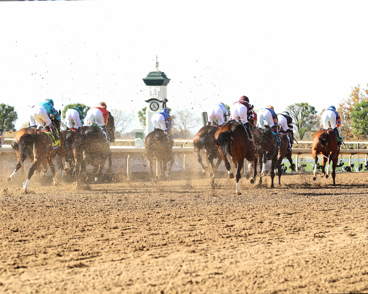EMPHATIC - Breeders' Cup Juvenile Fillies G1 - 10-30-26 - R07 - Keeneland Race Course - First Pass 01 - Ashley Phillips - Coady Media - Kurtis Coady Photography