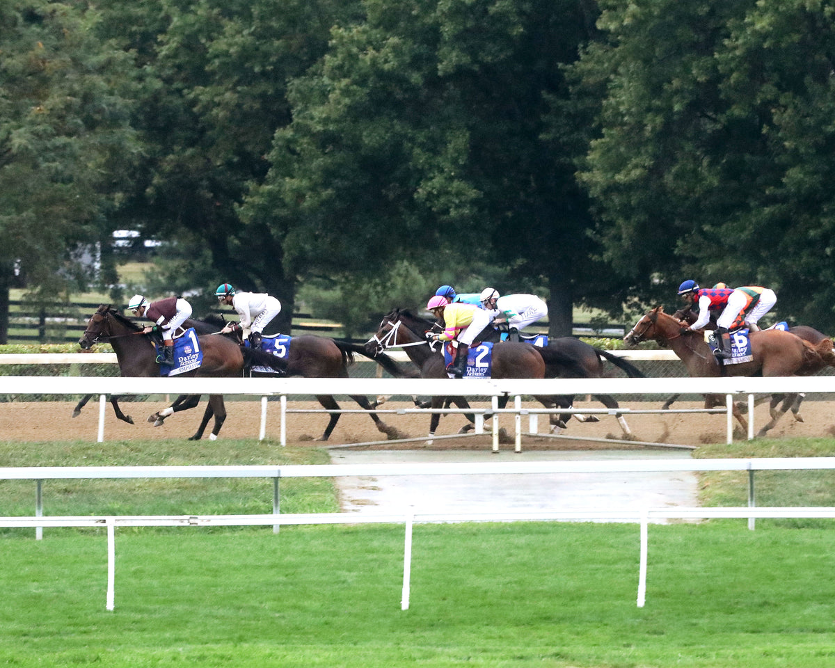 EMPHATIC - 100226 - Race 09 - KEE  The Darley Alcibiades G1 - Backstretch 01