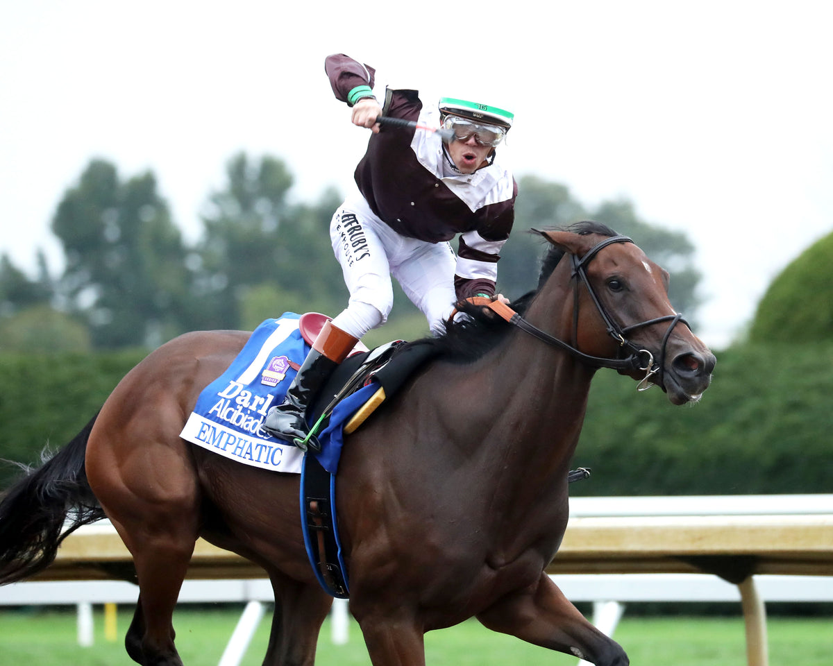 EMPHATIC - 100226 - Race 09 - KEE  The Darley Alcibiades G1 - Celebration 01