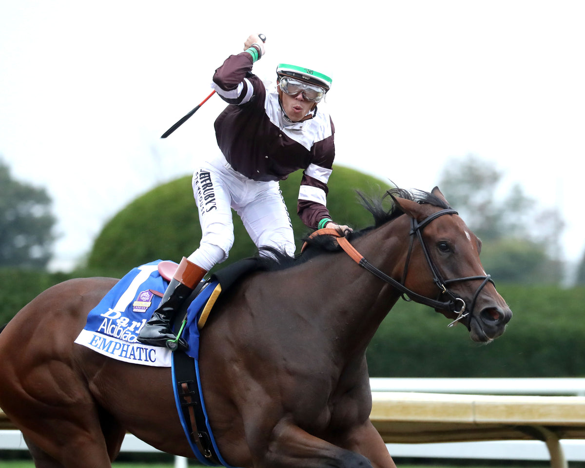 EMPHATIC - 100226 - Race 09 - KEE  The Darley Alcibiades G1 - Celebration 02