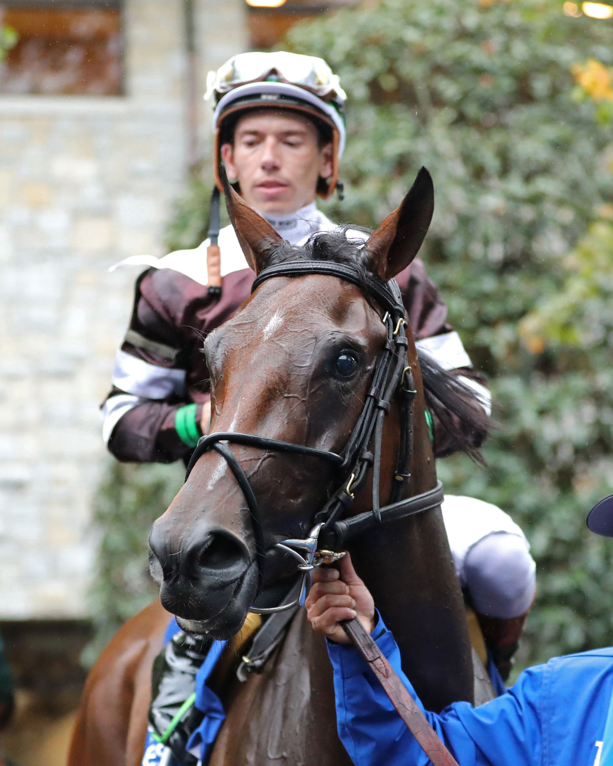 EMPHATIC - 100226 - Race 09 - KEE  The Darley Alcibiades G1 - Come Back 02
