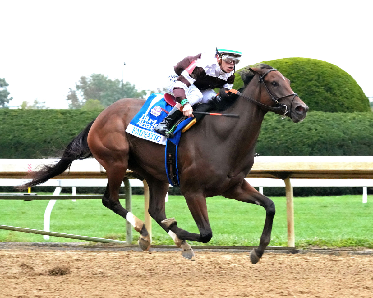 EMPHATIC - 100226 - Race 09 - KEE  The Darley Alcibiades G1 - Finish 02
