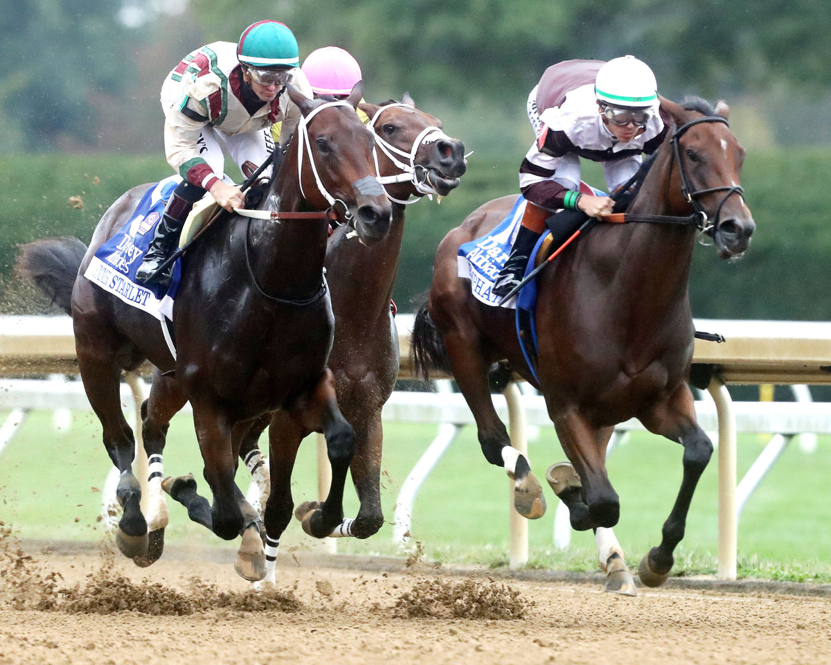EMPHATIC - 100226 - Race 09 - KEE  The Darley Alcibiades G1 - First Pass 01