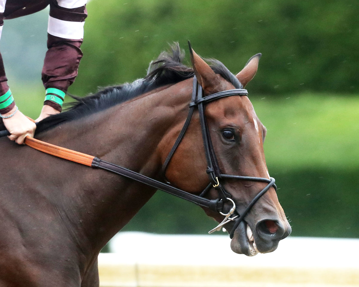 EMPHATIC - 100226 - Race 09 - KEE  The Darley Alcibiades G1 - Gallop Out 01