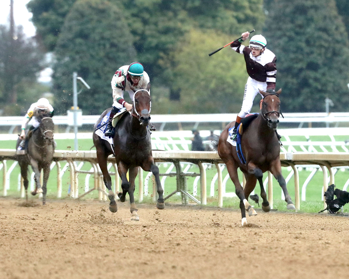 EMPHATIC - 100226 - Race 09 - KEE  The Darley Alcibiades G1 - Head On 01