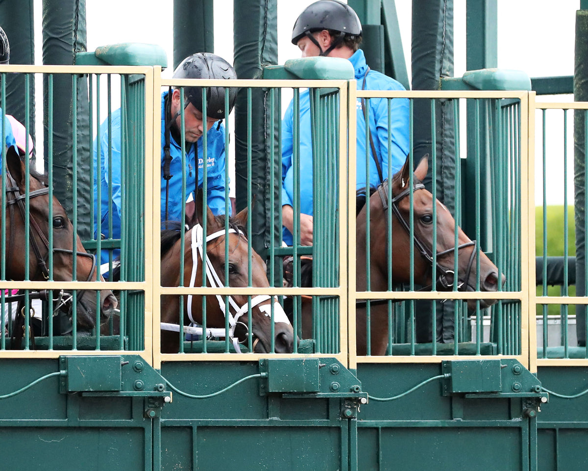 EMPHATIC - 100226 - Race 09 - KEE  The Darley Alcibiades G1 - Start 02