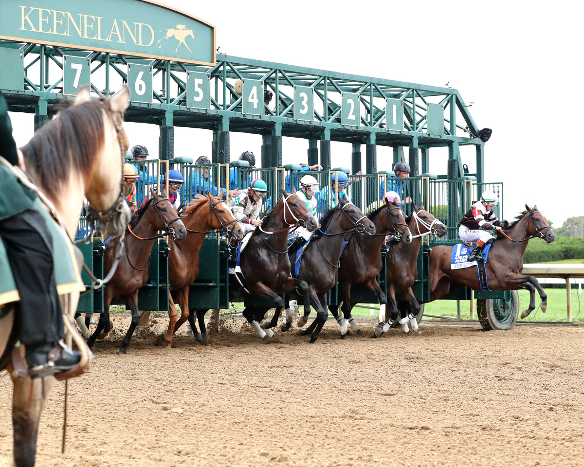 EMPHATIC - 100226 - Race 09 - KEE  The Darley Alcibiades G1 - Start 03