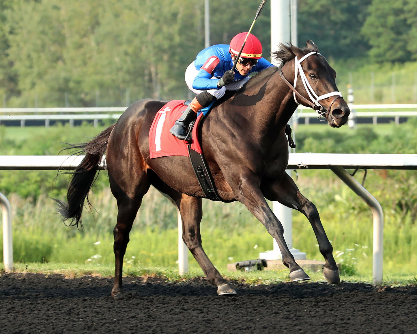 ENCINO - The Avery Whisman Memorial Stakes - 08-10-26 - R07 - PID - 3/4 Shot 02