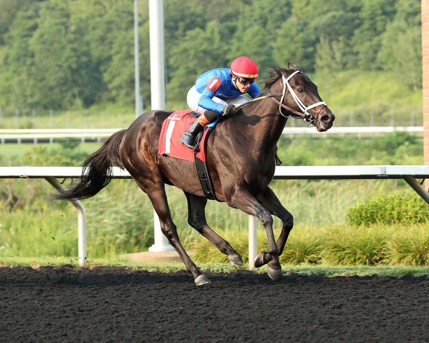 ENCINO - The Avery Whisman Memorial Stakes - 08-10-26 - R07 - PID - 3/4 Shot 03