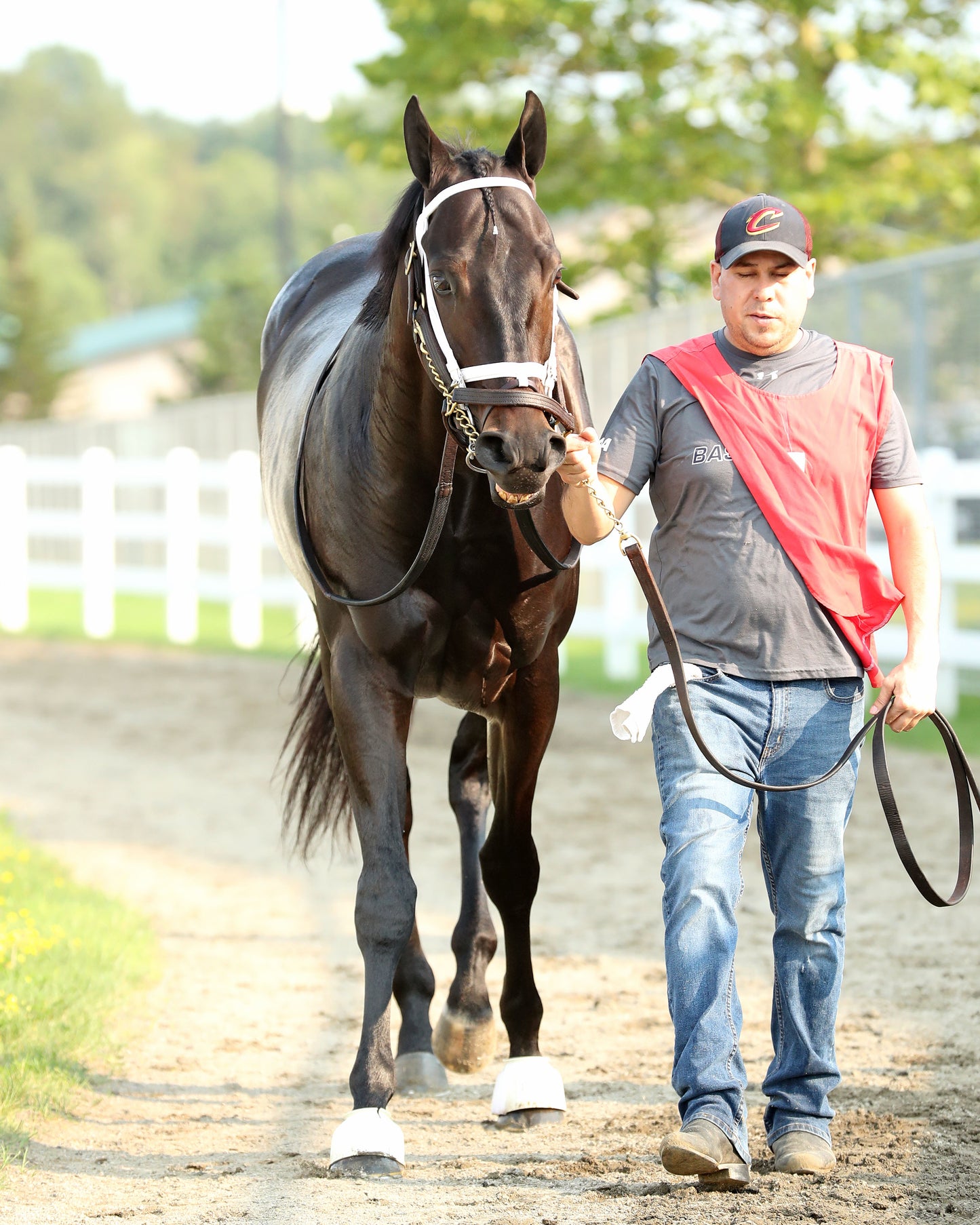 ENCINO - The Avery Whisman Memorial Stakes - 08-10-26 - R07 - PID - Paddock 02