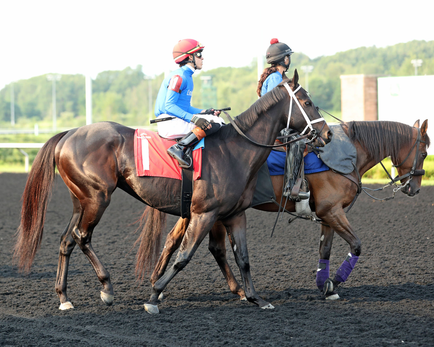 ENCINO - The Avery Whisman Memorial Stakes - 08-10-26 - R07 - PID - Post Parade 01